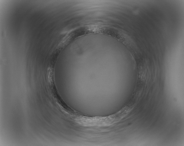 X0000056380036200508261212