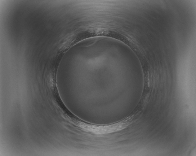 X0000056380039200508261212