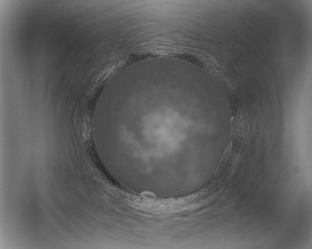 X0000056380043200508261212