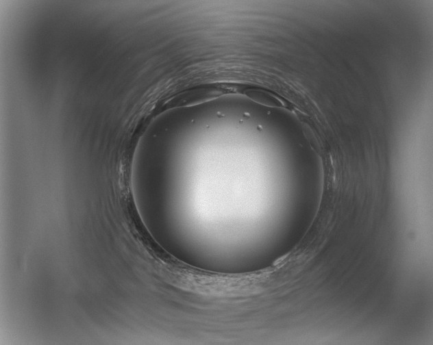 X0000056380044200508261212