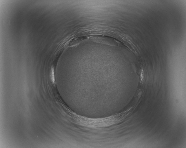 X0000056380046200508261212