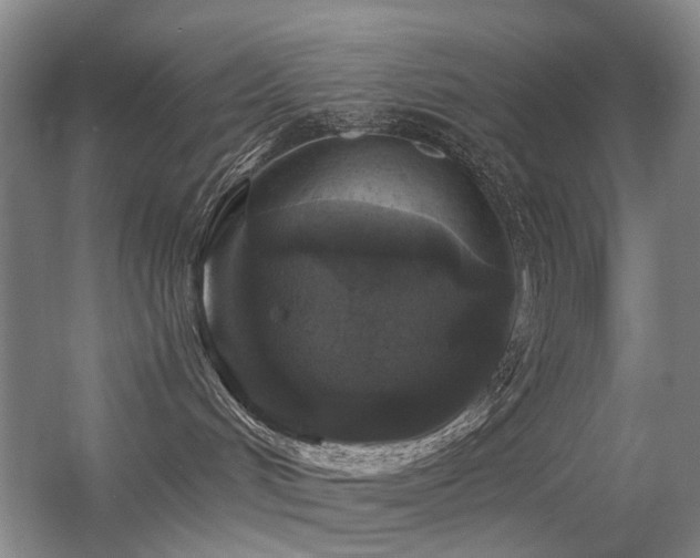 X0000056380048200508261211