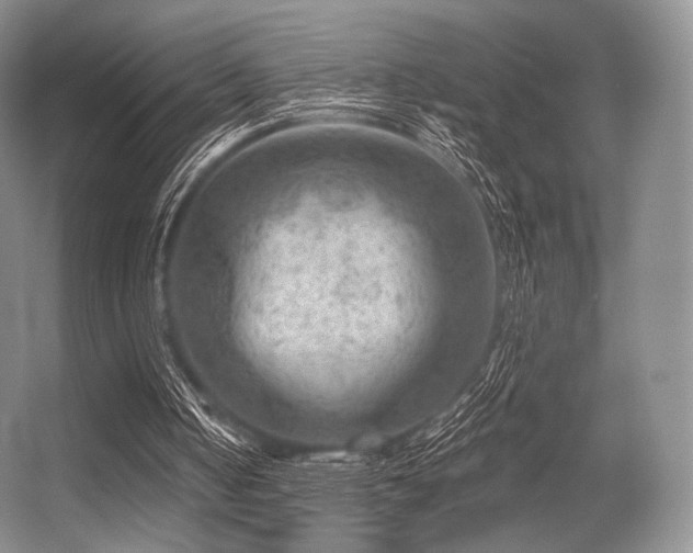 X0000056380050200508261211