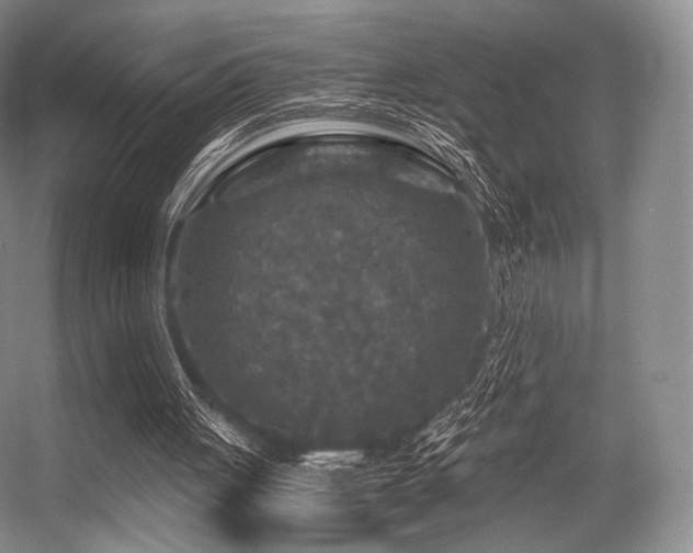 X0000056380051200508261211