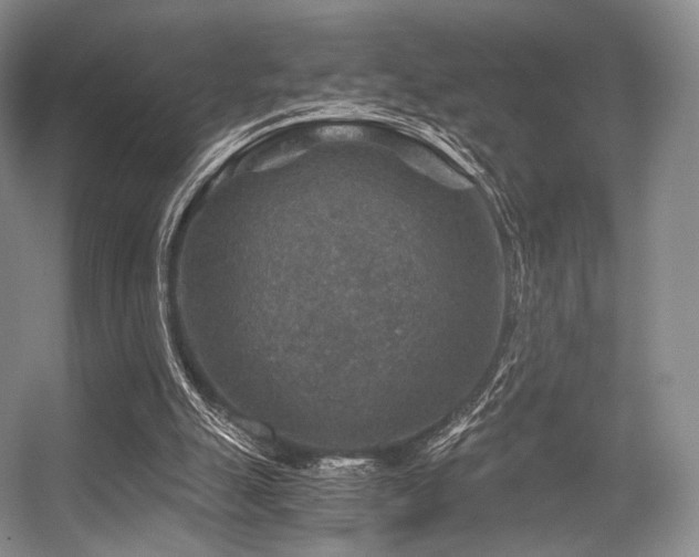 X0000056380055200508261211