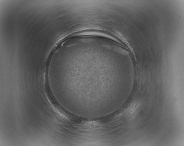 X0000056380063200508261211