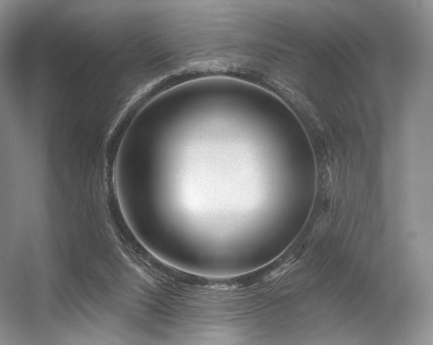 X0000056380064200508261211