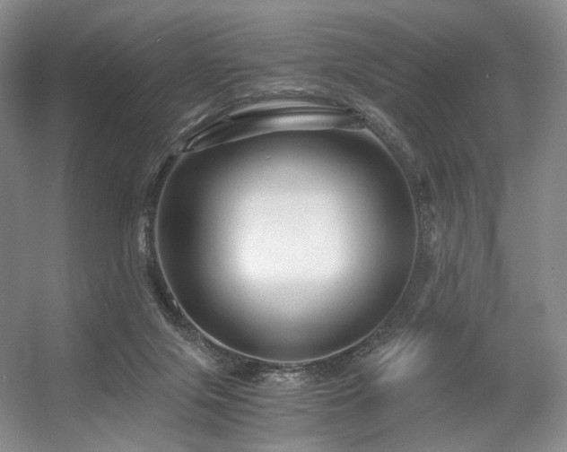 X0000056380071200508261211