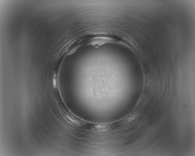 X0000056380095200508261211