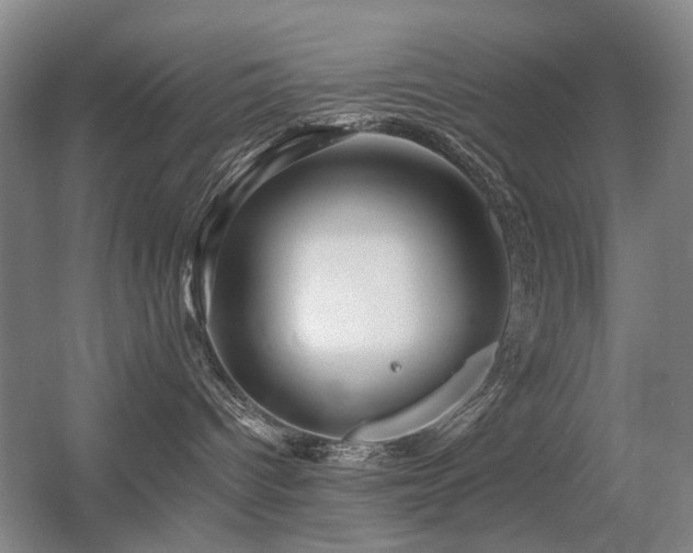 X0000056380096200508261211