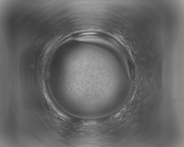 X0000056380097200508261211