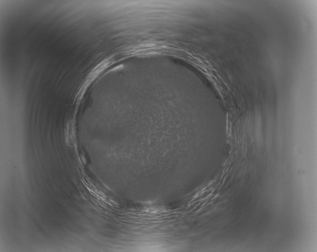 X0000056380099200508261211