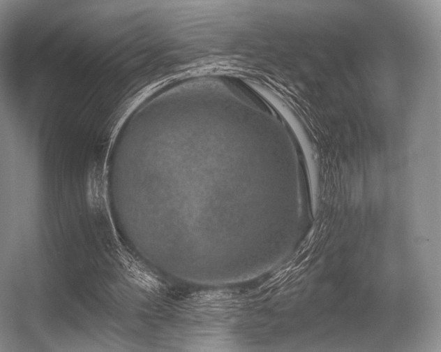 X0000056380100200508261211