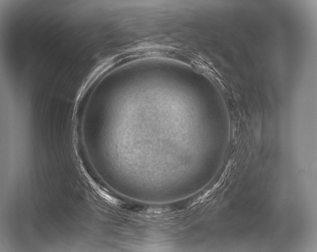X0000056380101200508261211