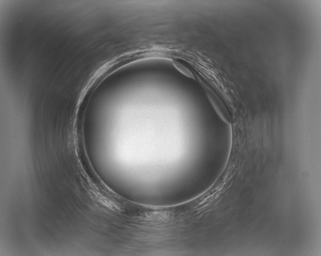 X0000056380102200508261211