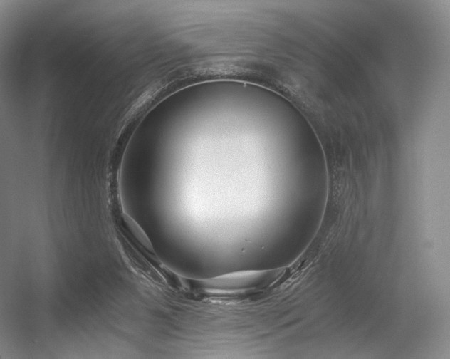 X0000056380111200508261210