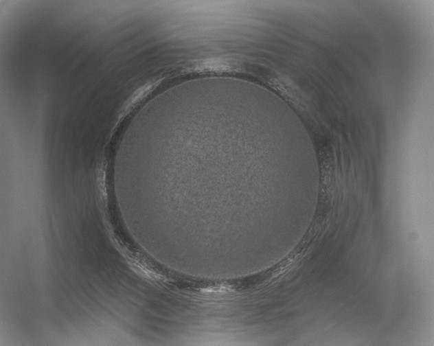 X0000056380112200508261210