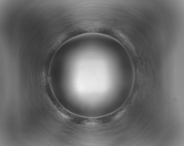 X0000056380113200508261210