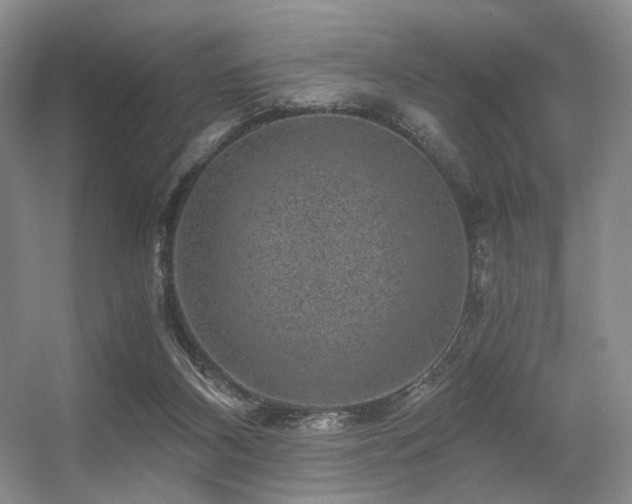 X0000056380116200508261210