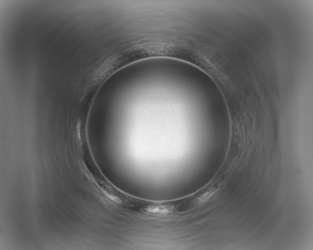 X0000056380117200508261210