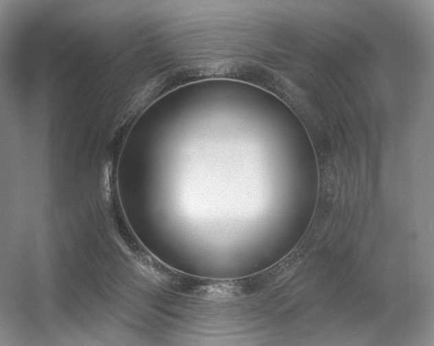 X0000056380118200508261210