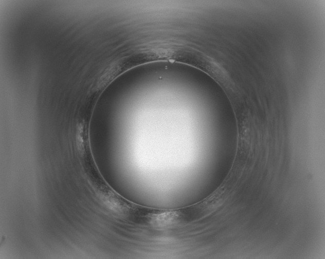 X0000056380122200508261210