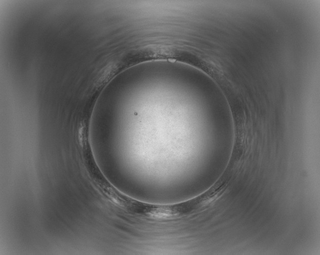 X0000056380123200508261210