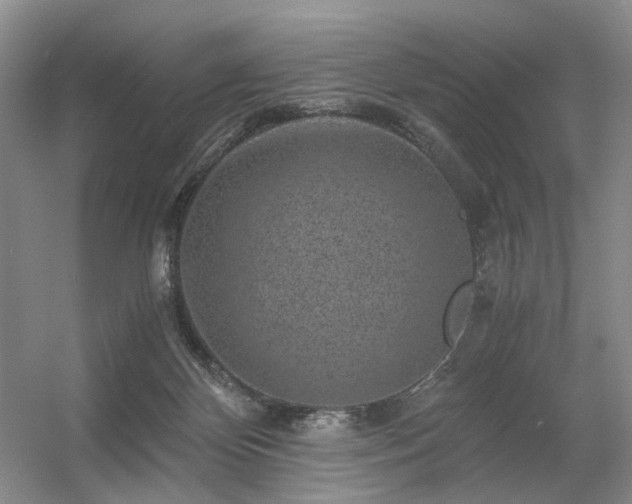 X0000056380124200508261210