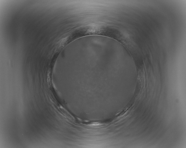 X0000056380127200508261210