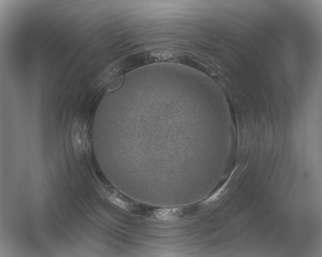 X0000056380136200508261210