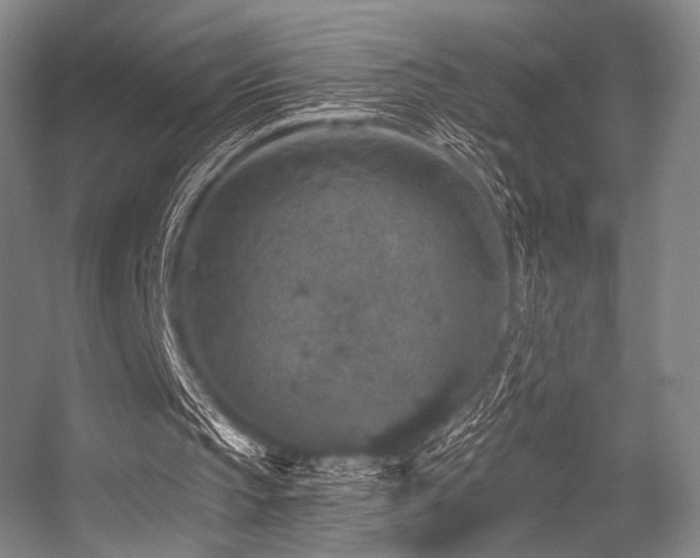 X0000056380145200508261209