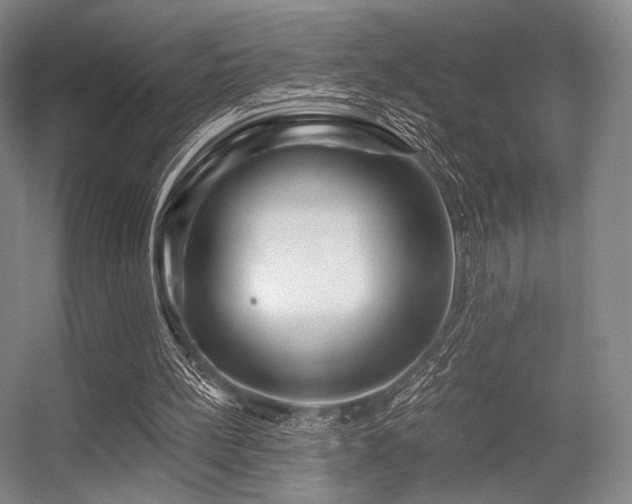 X0000056380148200508261209