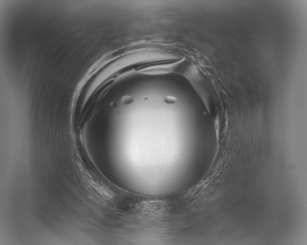 X0000056380150200508261209