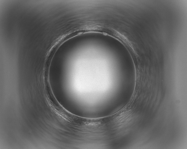 X0000056380155200508261209