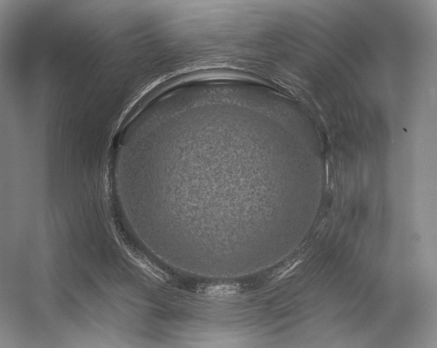 X0000056380156200508261209