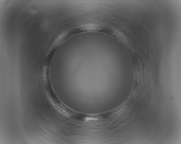 X0000056380167200508261209