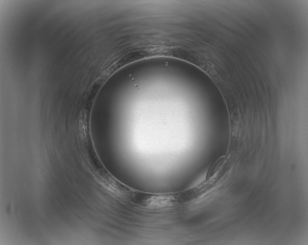X0000056380179200508261210