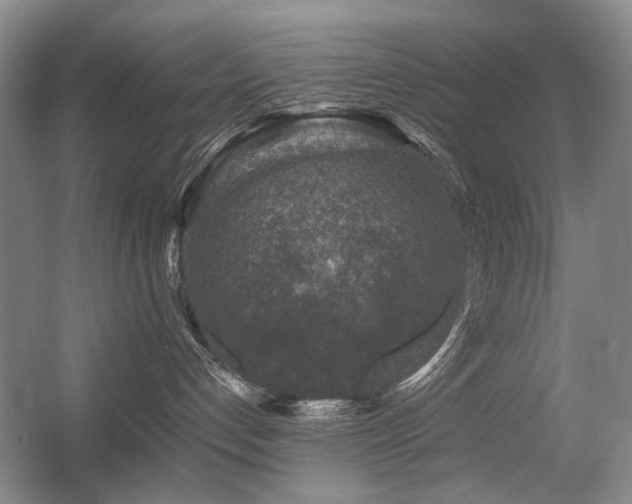 X0000056380192200508261210