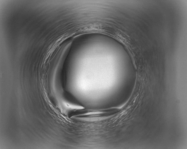 X0000056380193200508261209