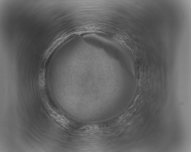 X0000056380194200508261209