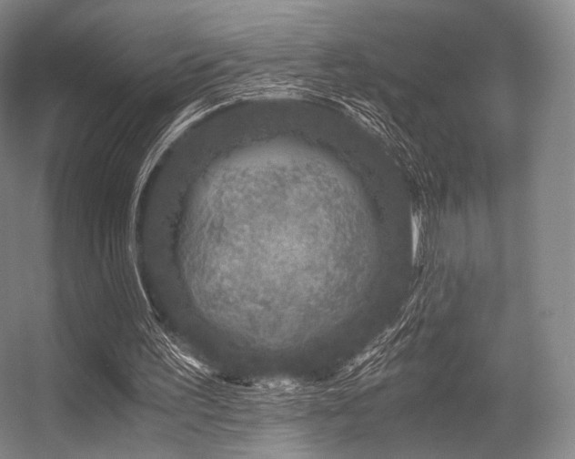 X0000056380195200508261209