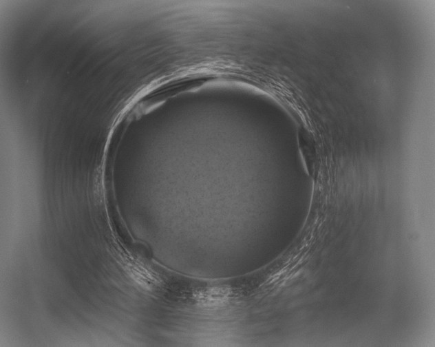 X0000056380196200508261209