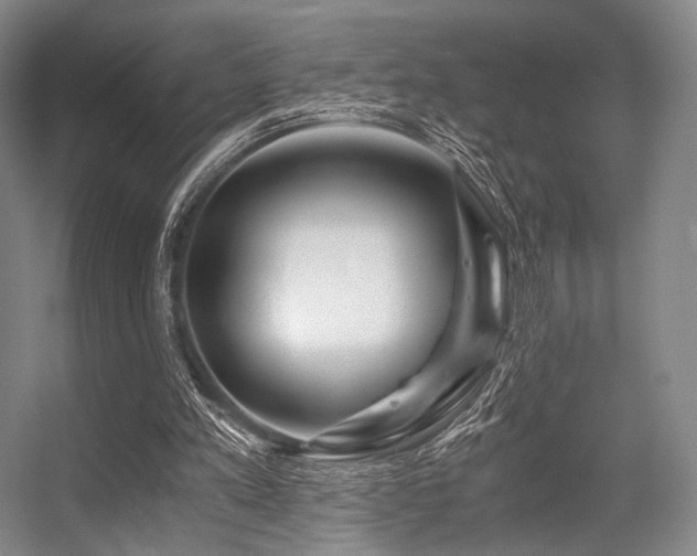 X0000056380197200508261209