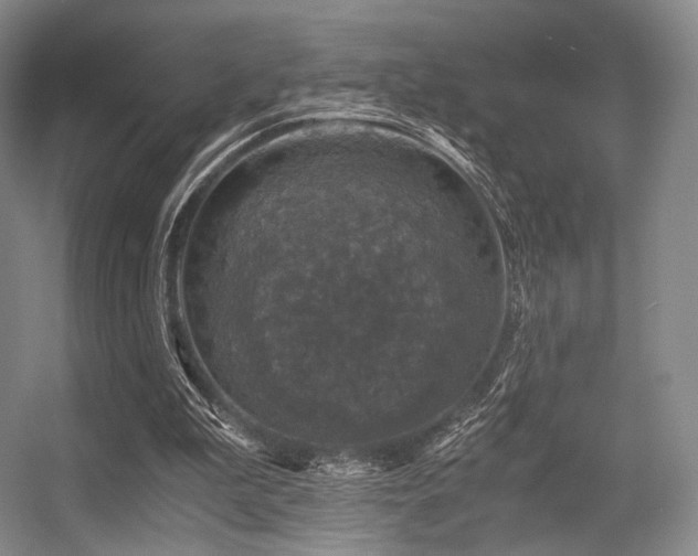 X0000056380199200508261209