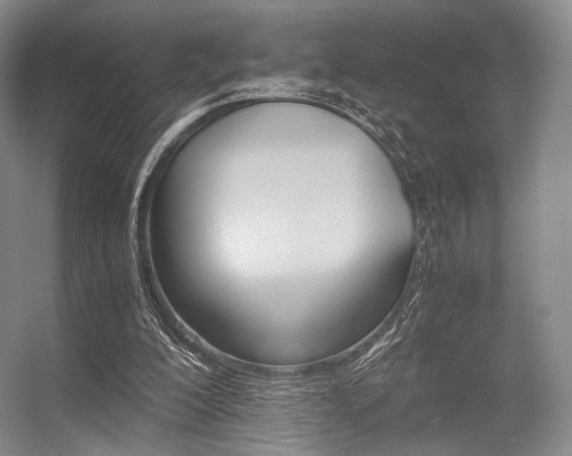 X0000056380200200508261209
