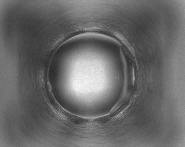 X0000056380201200508261209