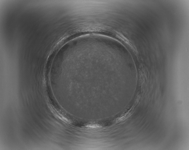 X0000056380203200508261209