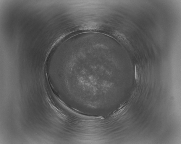 X0000056380204200508261209