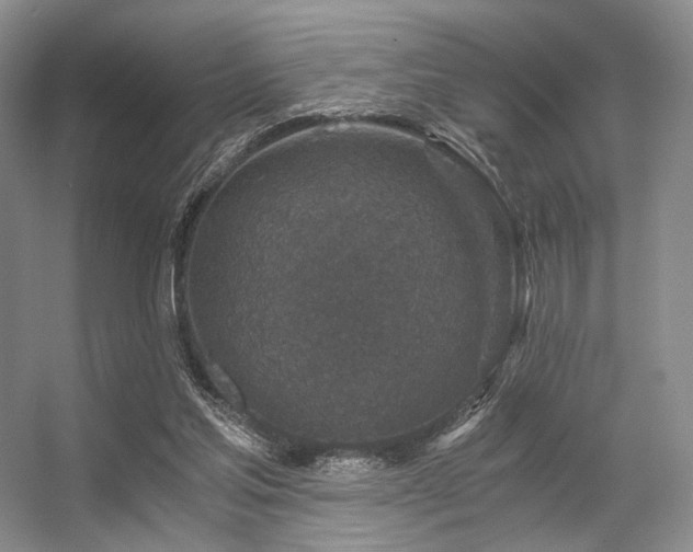 X0000056380205200508261209