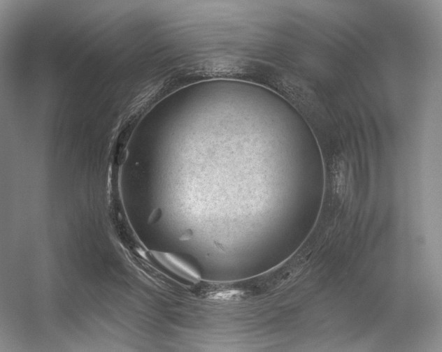 X0000056380206200508261209